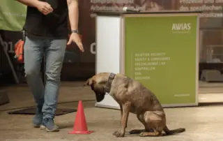 AWiAS Spürhunde Workshop