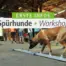 Workshop Spurhunde 2024