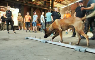 AWiAS Spürhunde-Workshop