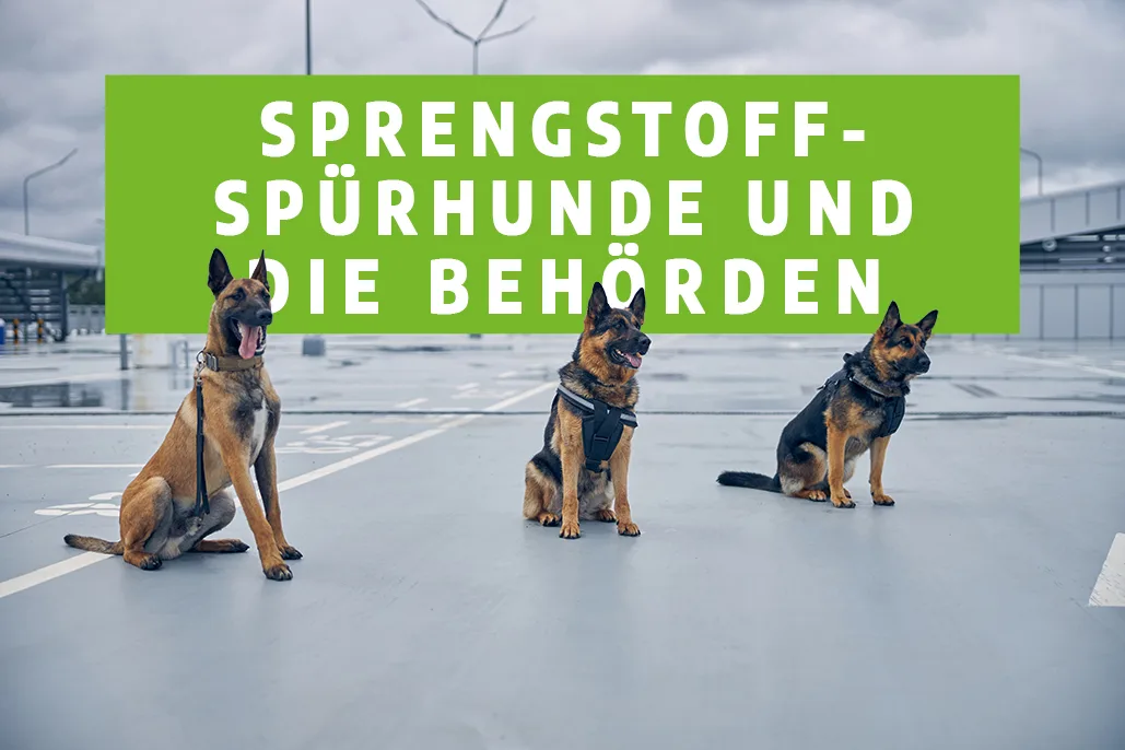 Sprengstoffspürhunde und die Behörden