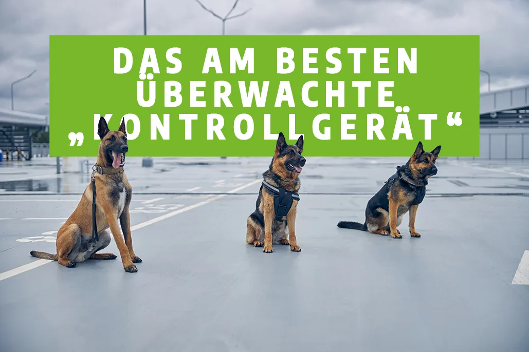 Das Sprengstoff-Spürhundeteam – das am besten überwachte „Kontrollgerät ...